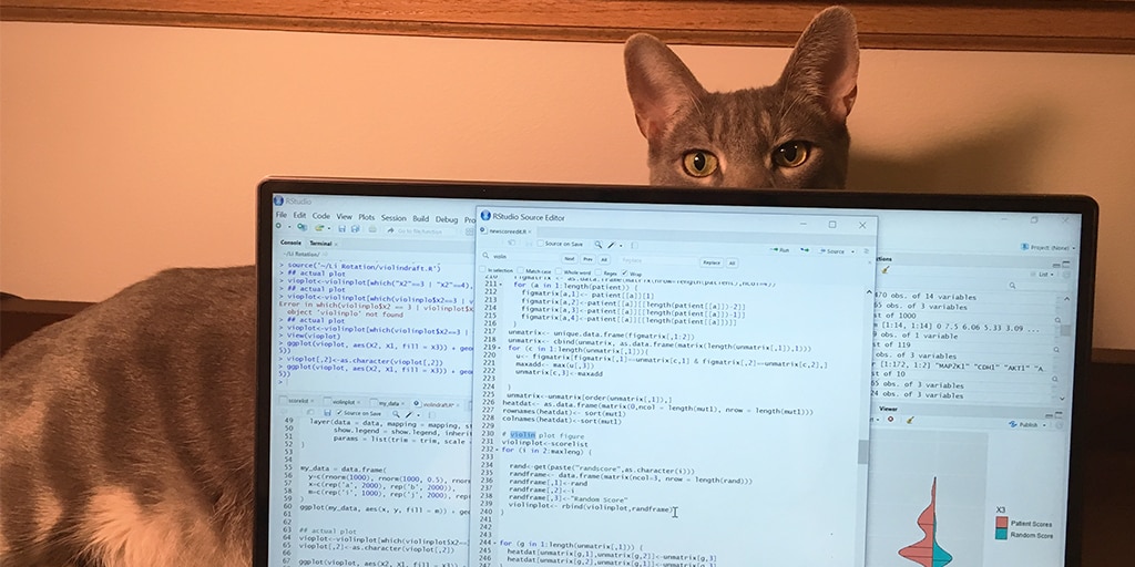 At-home research on computer with cat peaking out from behind computer screen.