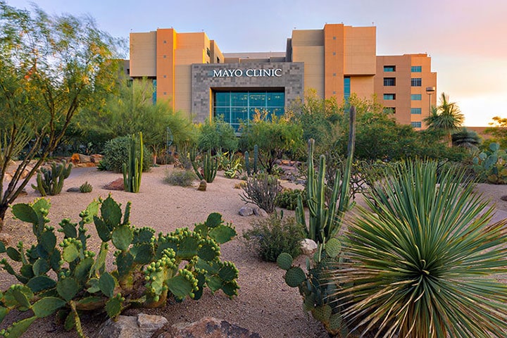 Planning underway for new Integrated Education and Research Building in Phoenix