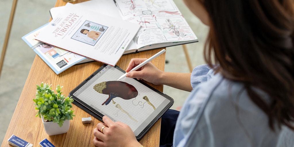 Sara Lee, a medical student at the Mayo Clinic Alix School of Medicine, works on a medical illustration of a kidney, using a tablet and stylus.