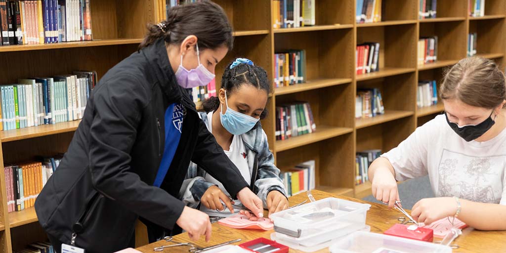 Mentor with a student in the NextGenMed program