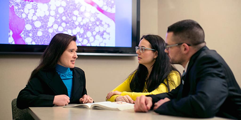 Two students sitting at a table with a faculty member discussing their research