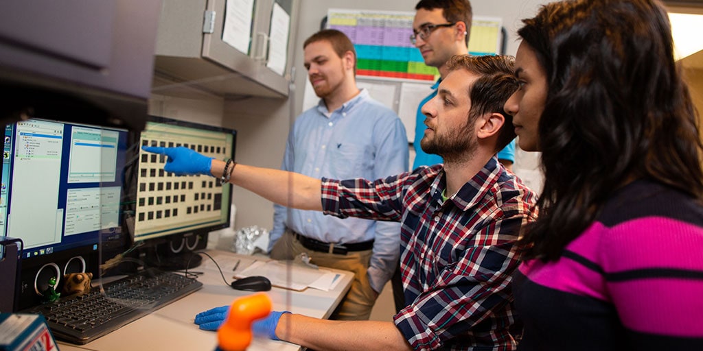 Mayo Clinic Ph.D. students reviewing data with faculty member