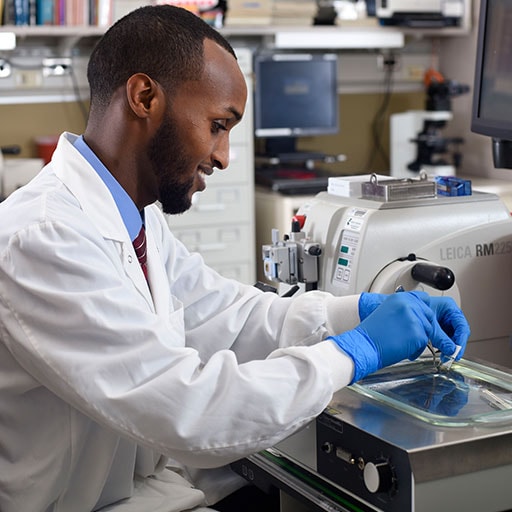 Mayo Clinic histology technician analyzing samples