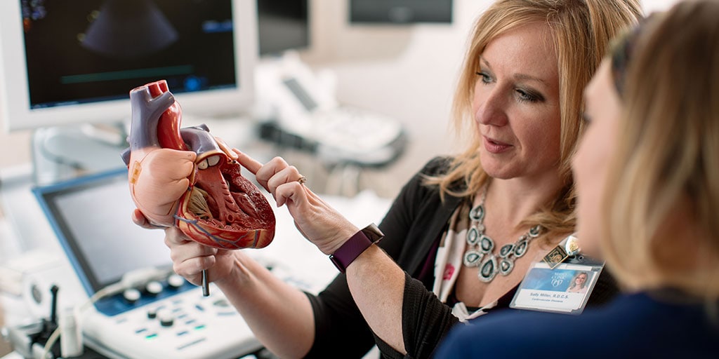 Mayo Clinic echocardiography faculty member reviewing an anatomical model of a heart with a student
