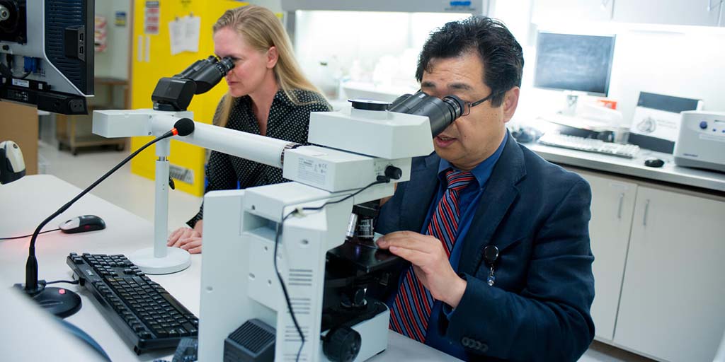 Pathologist and assistant examine specimens under a microscope in the lab