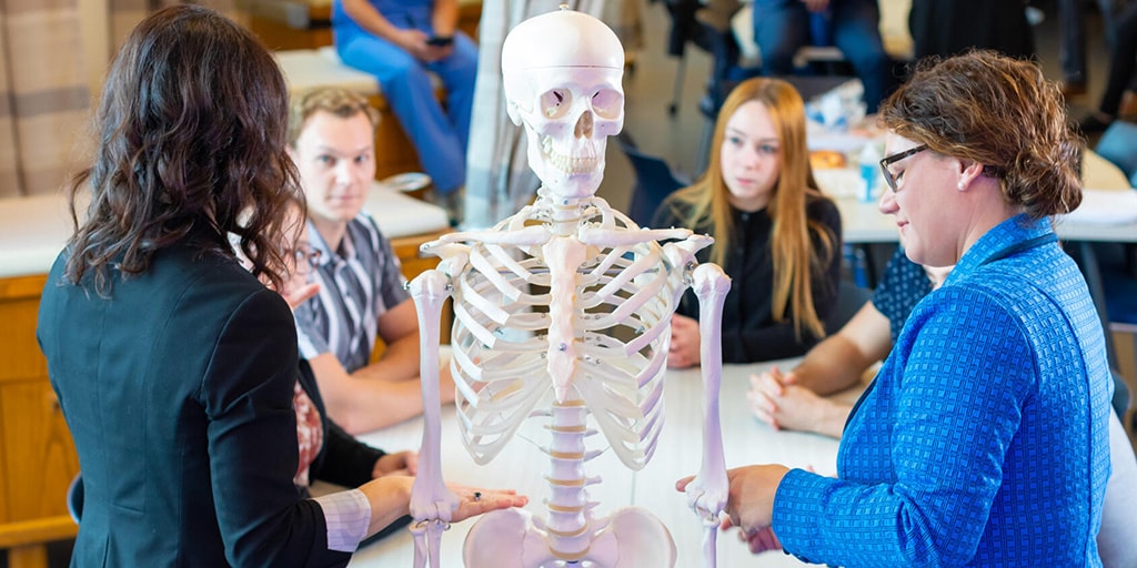 Two physician assistants (PA) use a human skeleton model during a demonstration for students.