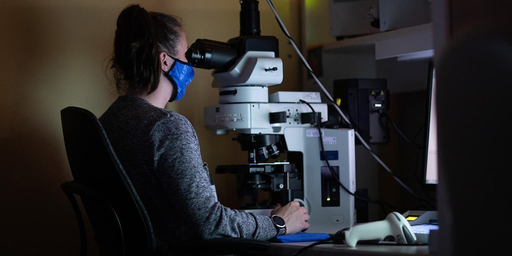 Image showcasing Cytopathology Clinical Rotation (Florida) - Health Sciences Education ...