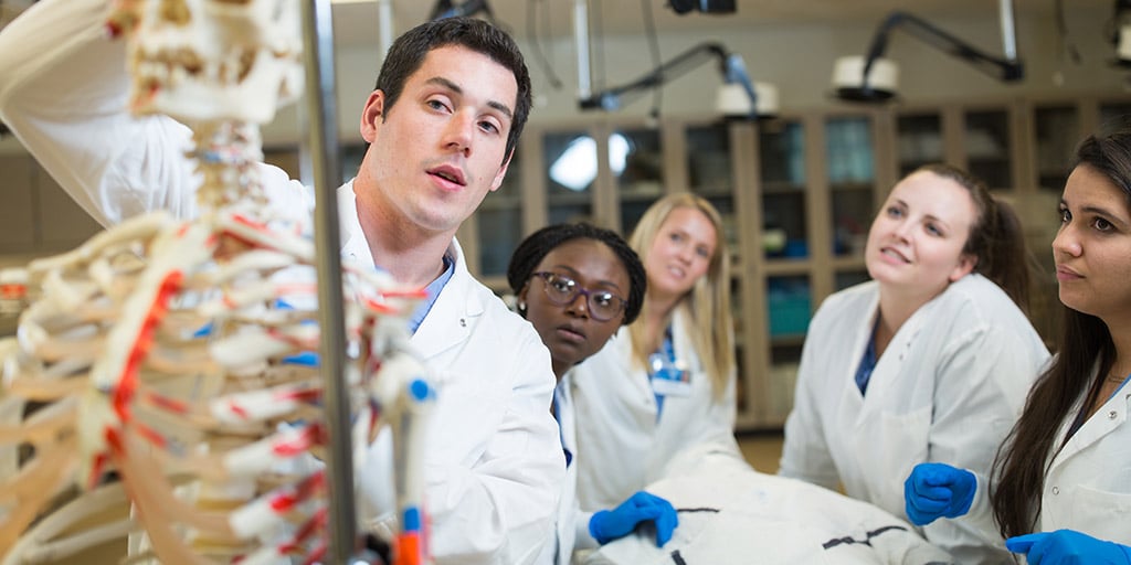 Surgical First Assistant students looking at a skeleton in the lab. 