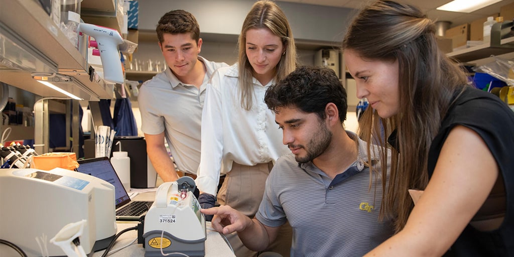 Mayo Clinic physics and engineering interns work on a model
