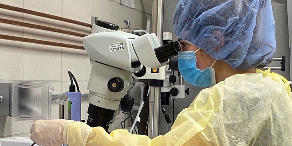 Student examining a specimen through a microscope as part of the undergraduate biomedical research internship.