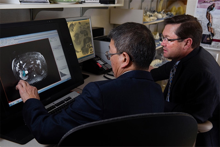 Mayo Clinic Abdominal/Body Radiology fellows looking at results