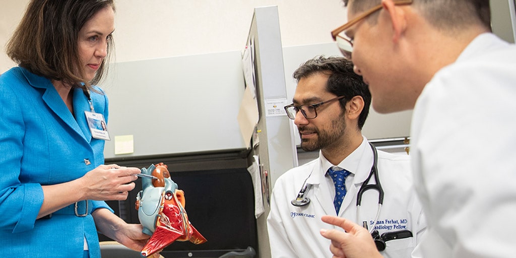 Cardiovascular Diseases fellows look at a model of a heart at Mayo Clinic in Jacksonville, Florida.