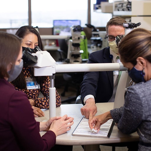 Cytopathology fellows working together in the lab at Mayo Clinic in Rochester, Minnesota.