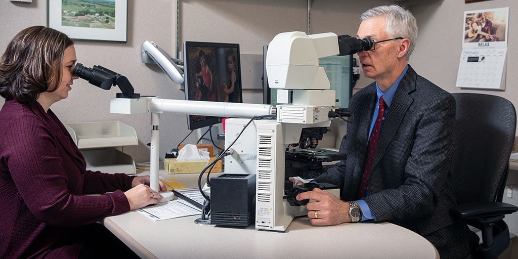 Mayo Clinic hematopathologists using microscopes