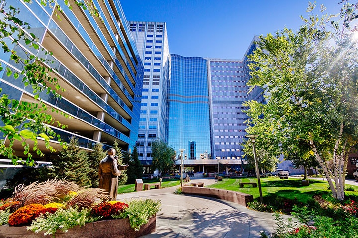 Mayo Clinic Alix School of Medicine - Mayo Clinic College of Medicine &  Science