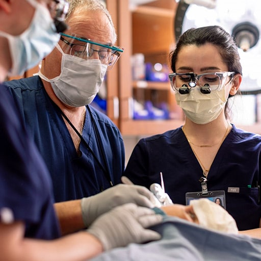 Micrographic Surgery and Dermatologic Oncology Fellows work with a faculty member in the operating room at Mayo Clinic in Rochester, Minnesota.