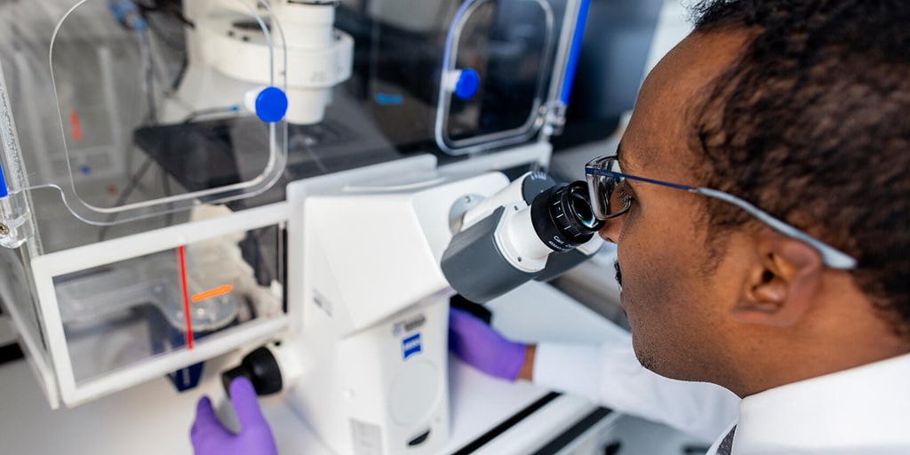 Yasir Abdelgadir, MBBS, Nephrology fellow, uses a stereo microscope in a laboratory.