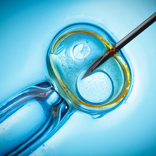 Video: IVF Experience at Mayo Clinic