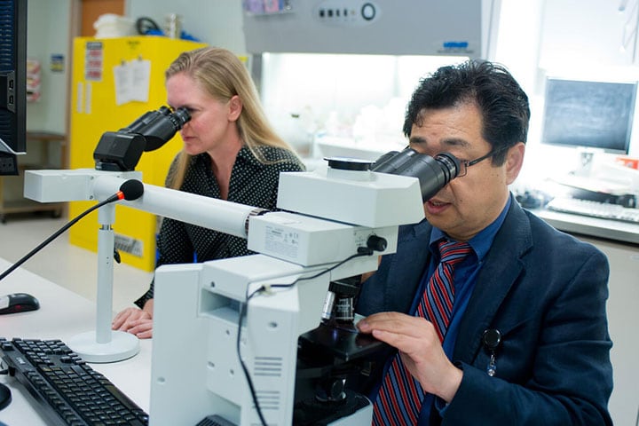 Surgical pathology fellow and faculty member working together using microscopes in the lab at Mayo Clinic in Jacksonville, Florida.