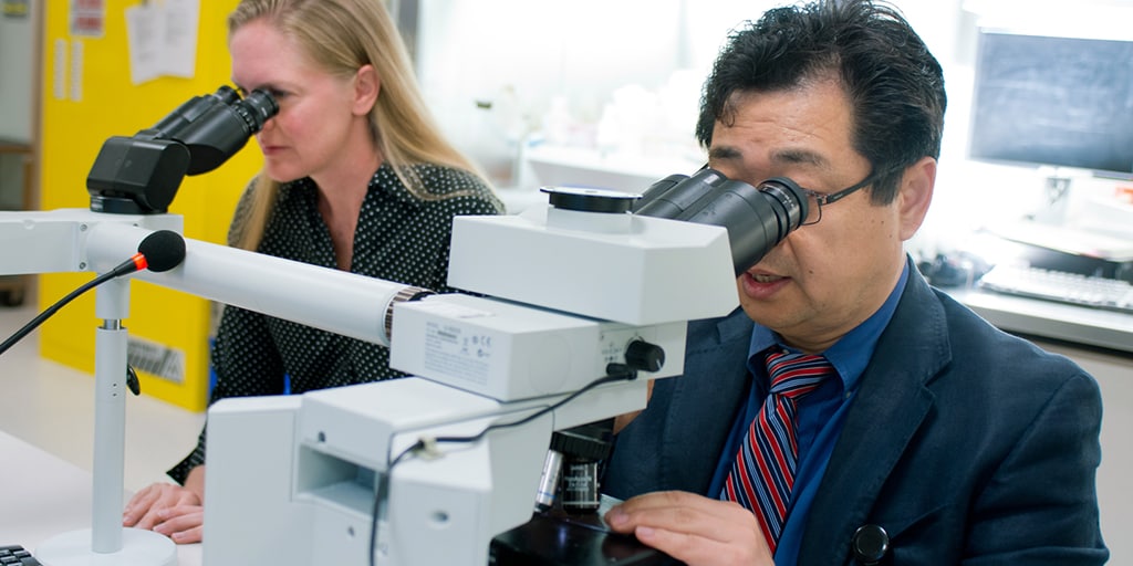 Surgical pathology fellows working in the lab together at Mayo Clinic in Jacksonville, Florida.