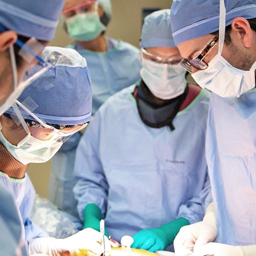 Trauma and Genitourinary Reconstruction Fellowship five doctors performing surgery in an operating room.