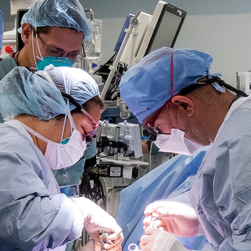 Vascular surgeons in the operating room at Mayo Clinic in Phoenix, Arizona.