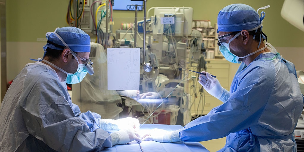 Vascular surgery faculty at Mayo Clinic in Arizona