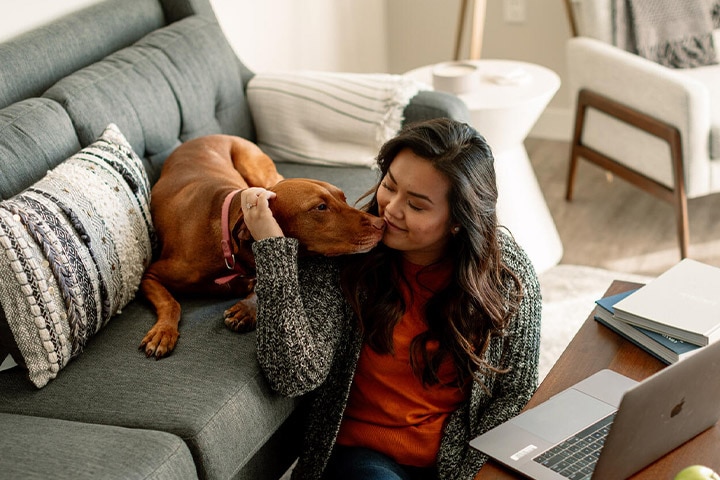 Medical student snuggles with her dog at her home.