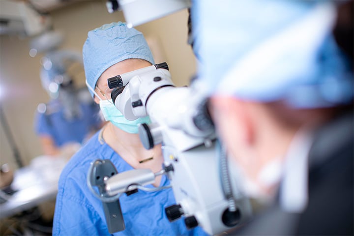 Mayo Clinic doctors in the Microsurgery Training Center