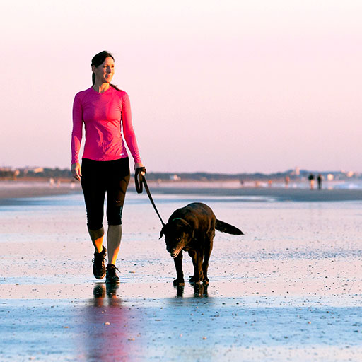 Woman walking a dog on beach in Jacksonville