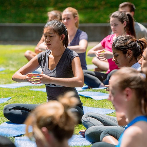 Students doing yoga in a Rochester park