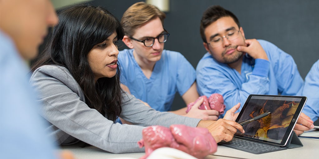 Mayo Clinic faculty member reviewing heart anatomy with students